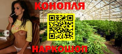гидропоника Гусев