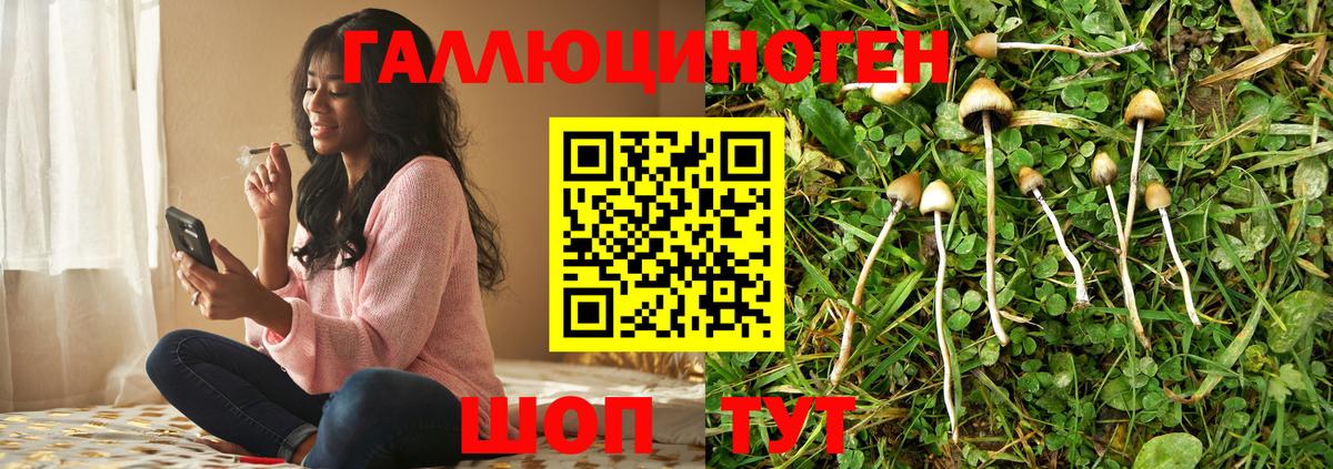 Мариинск  Галлюциногенные грибы Cubensis  магазин продажи наркотиков  Галлюциногенные грибы MAGIC MUSHROOMS  Вход с VPN 